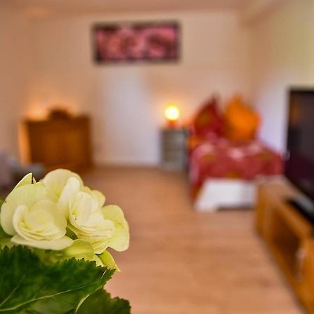Wohnung Mit Wohlfuehlcharakter Idar-Oberstein Kültér fotó